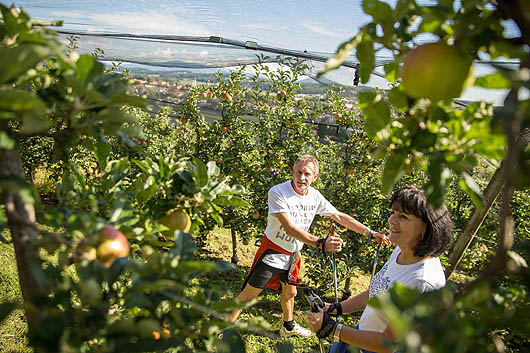 Obstgarten (c) Karl Schrotter