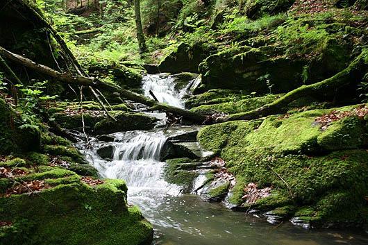 raabklamm